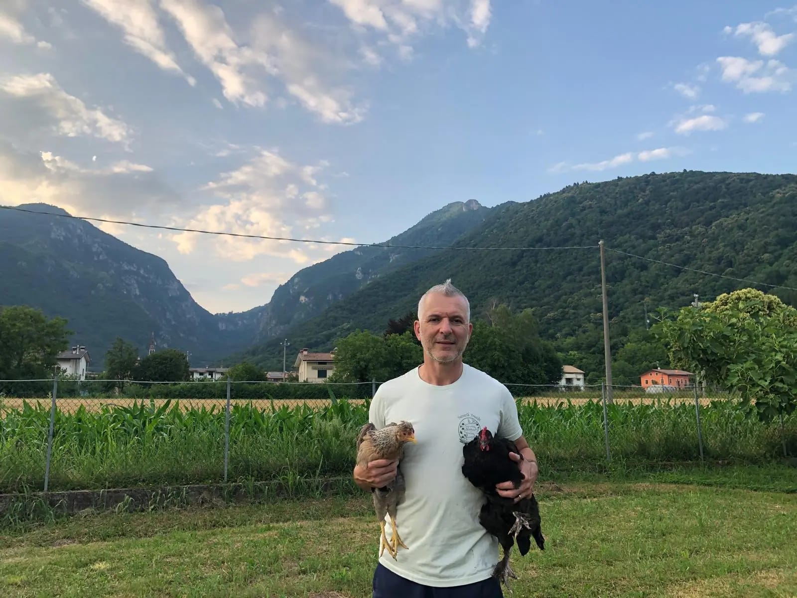 Fattoria Prealpi - Immagine 2