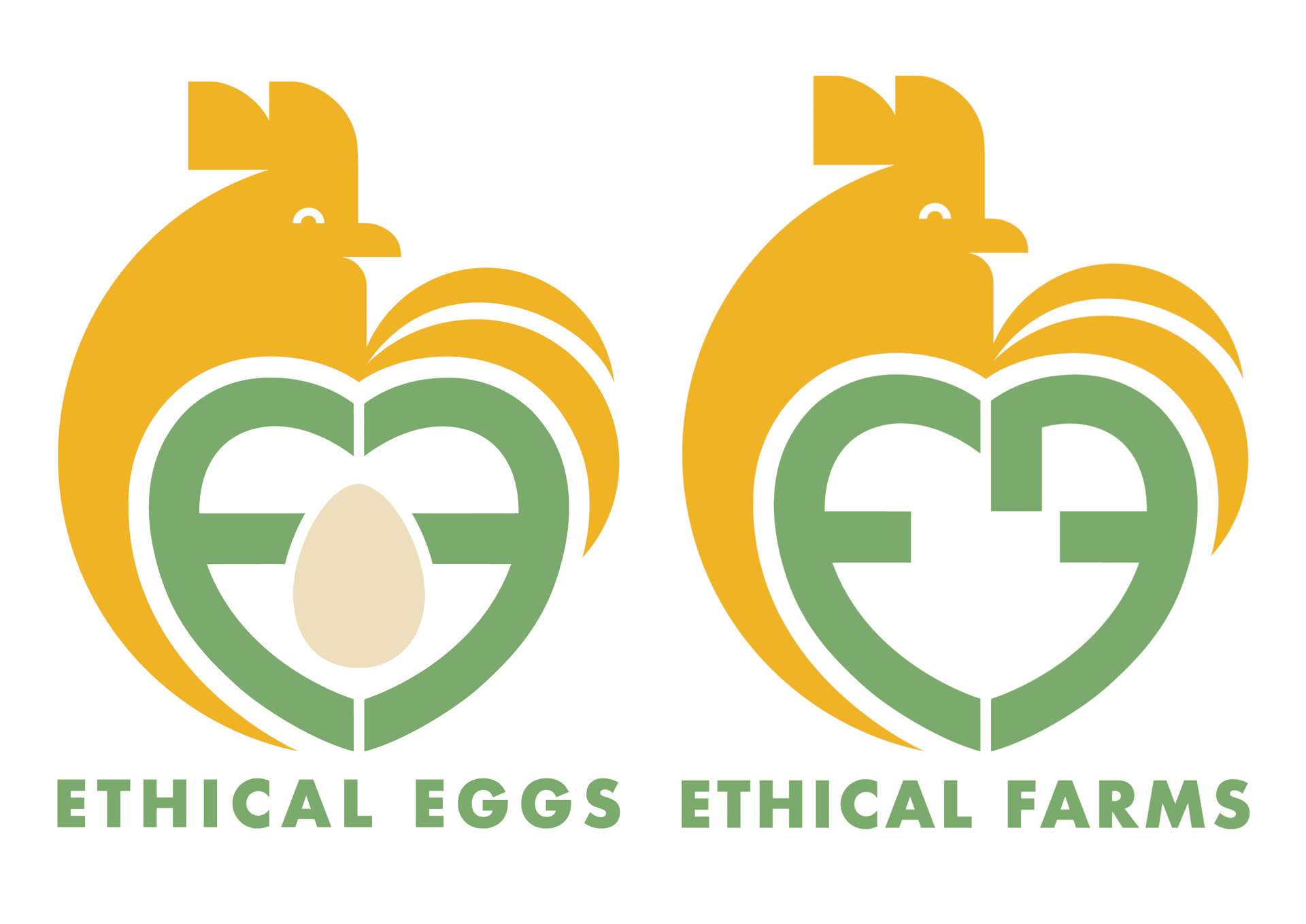 EthicalFarms ed EthicalEggs, il cuore dell’ecosistema